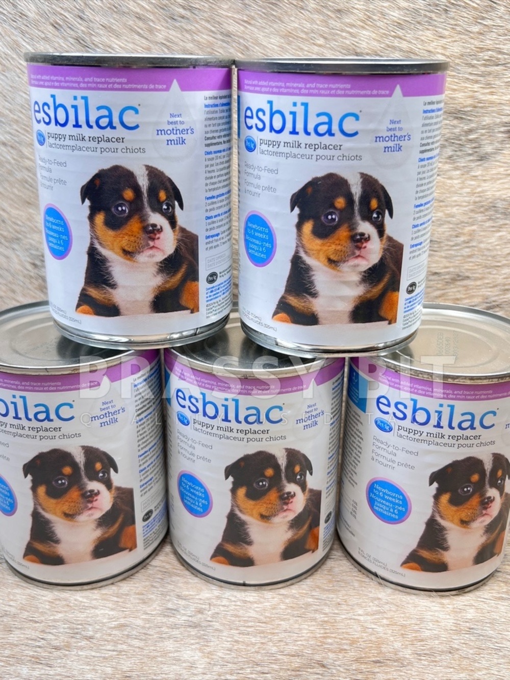 Esbilac Puppy Milk Replacer Bundle of 5
